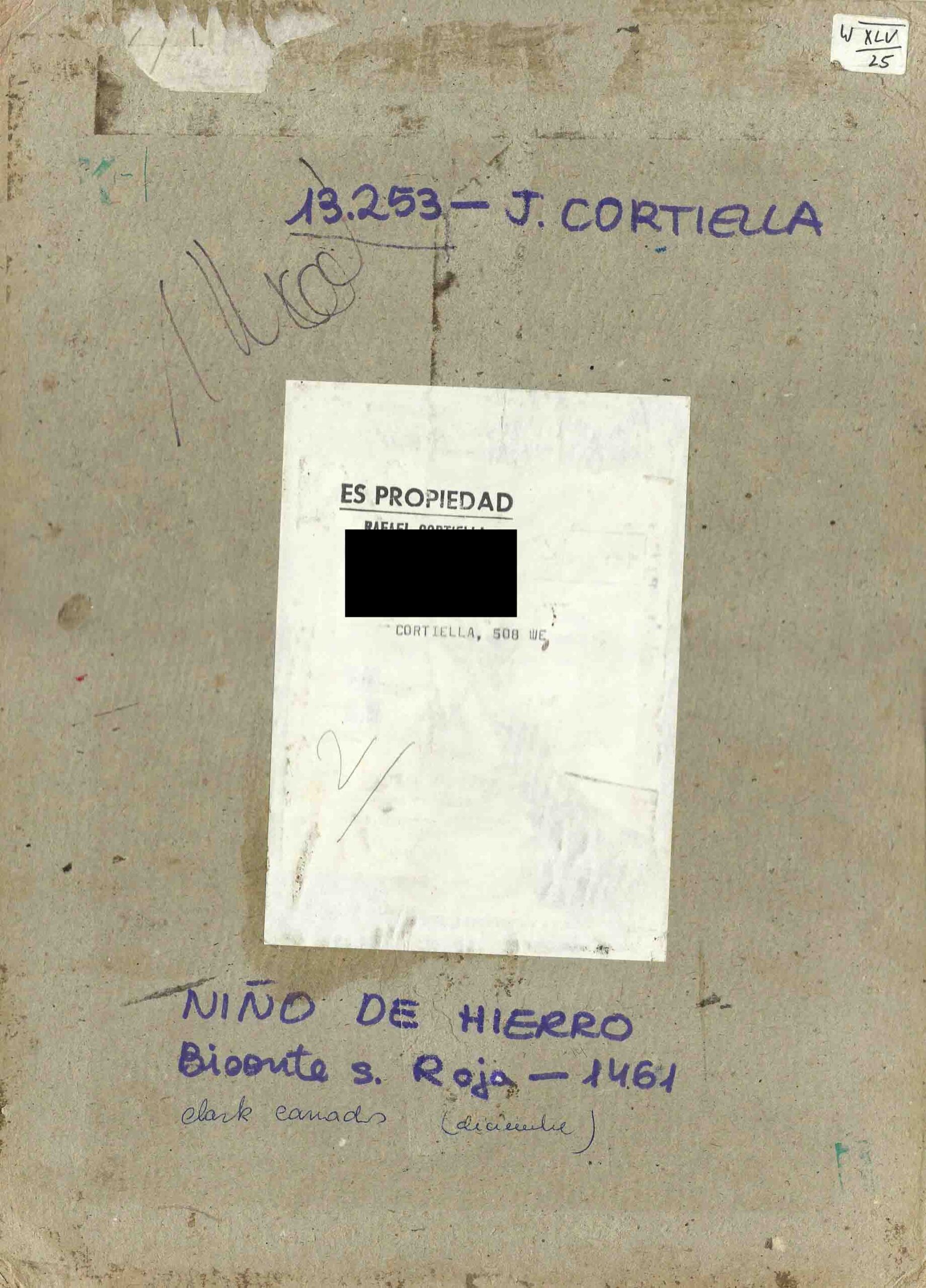 Posterior - Niño de hierro