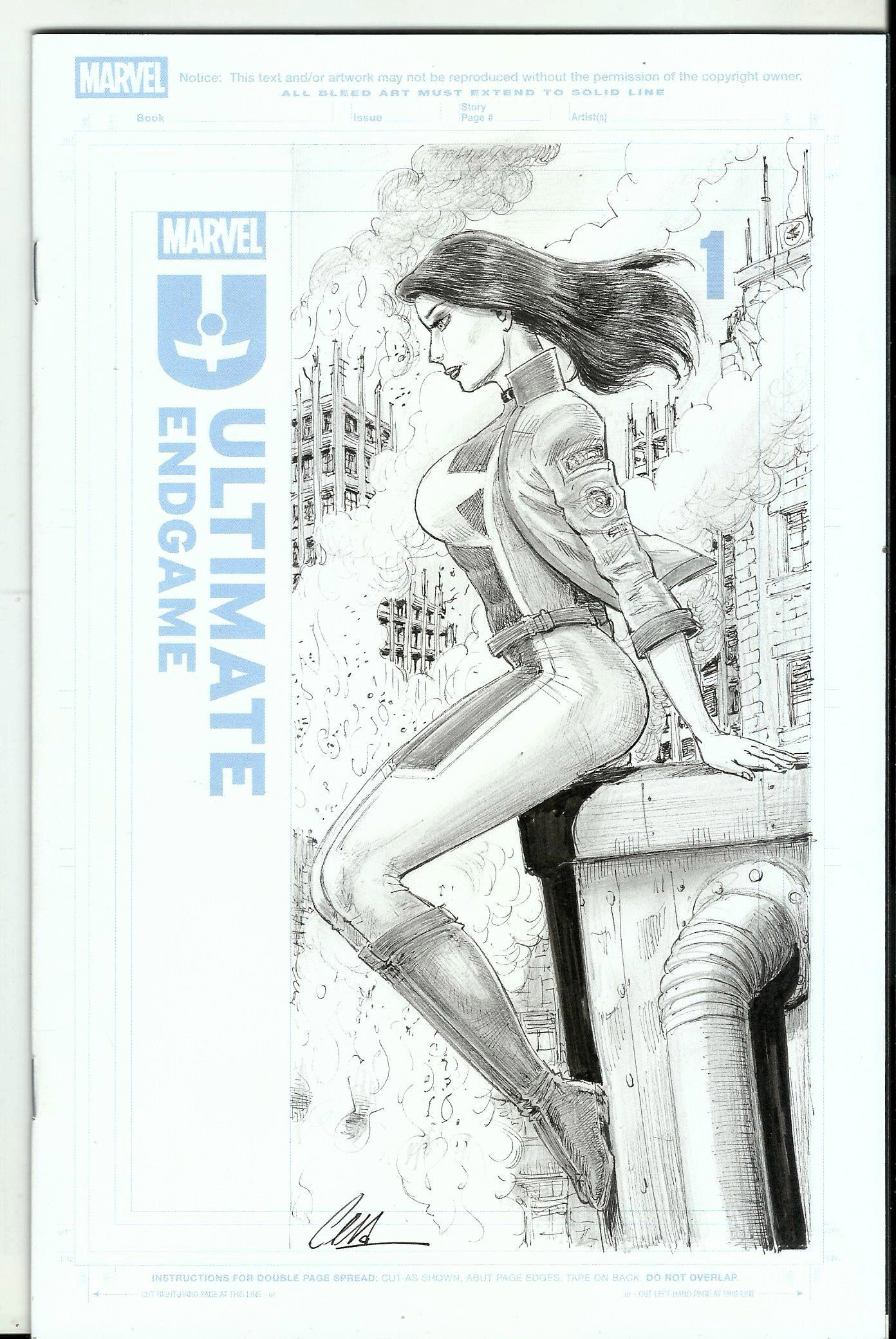 Cera - Origin of Comics - blank cover Ultimate Endgame # 1