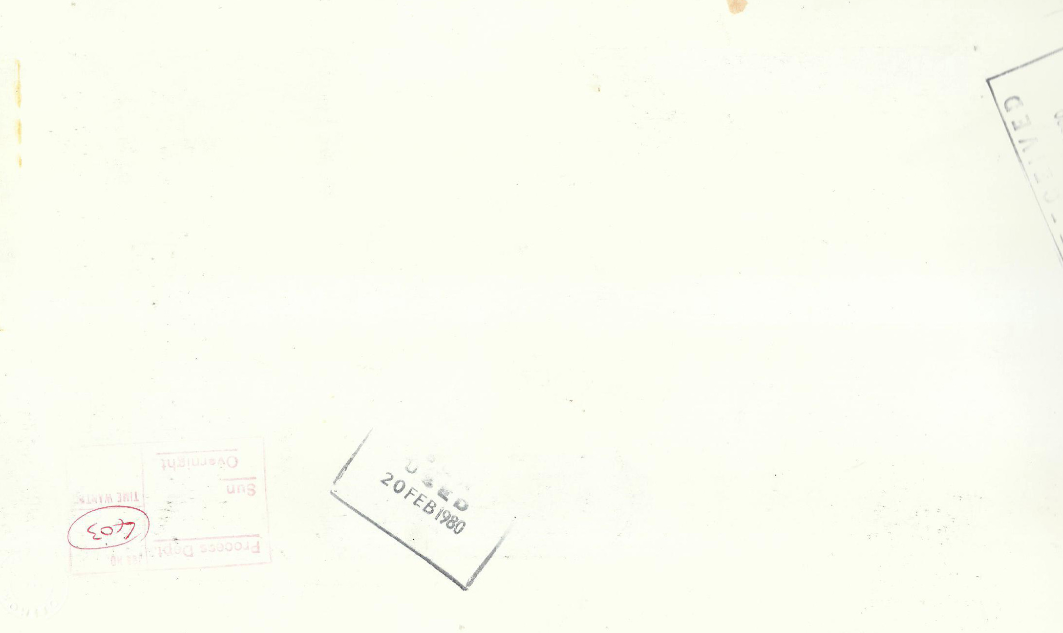 Posterior Axa #493